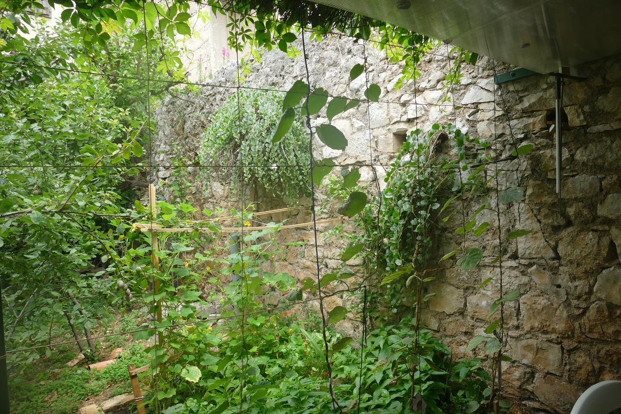 Villa Abeona Makarska Ngoại thất bức ảnh